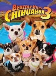 Una Chihuahua De Beverly Hills 3 (2012) poster